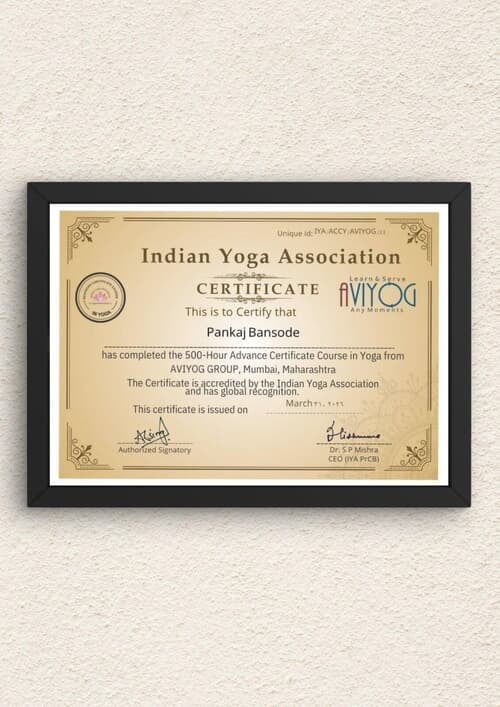 AVIYOG IYA 500 Hours Yoga Master Course Certificate